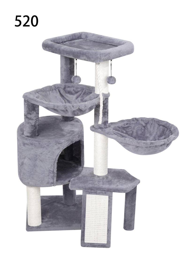 520